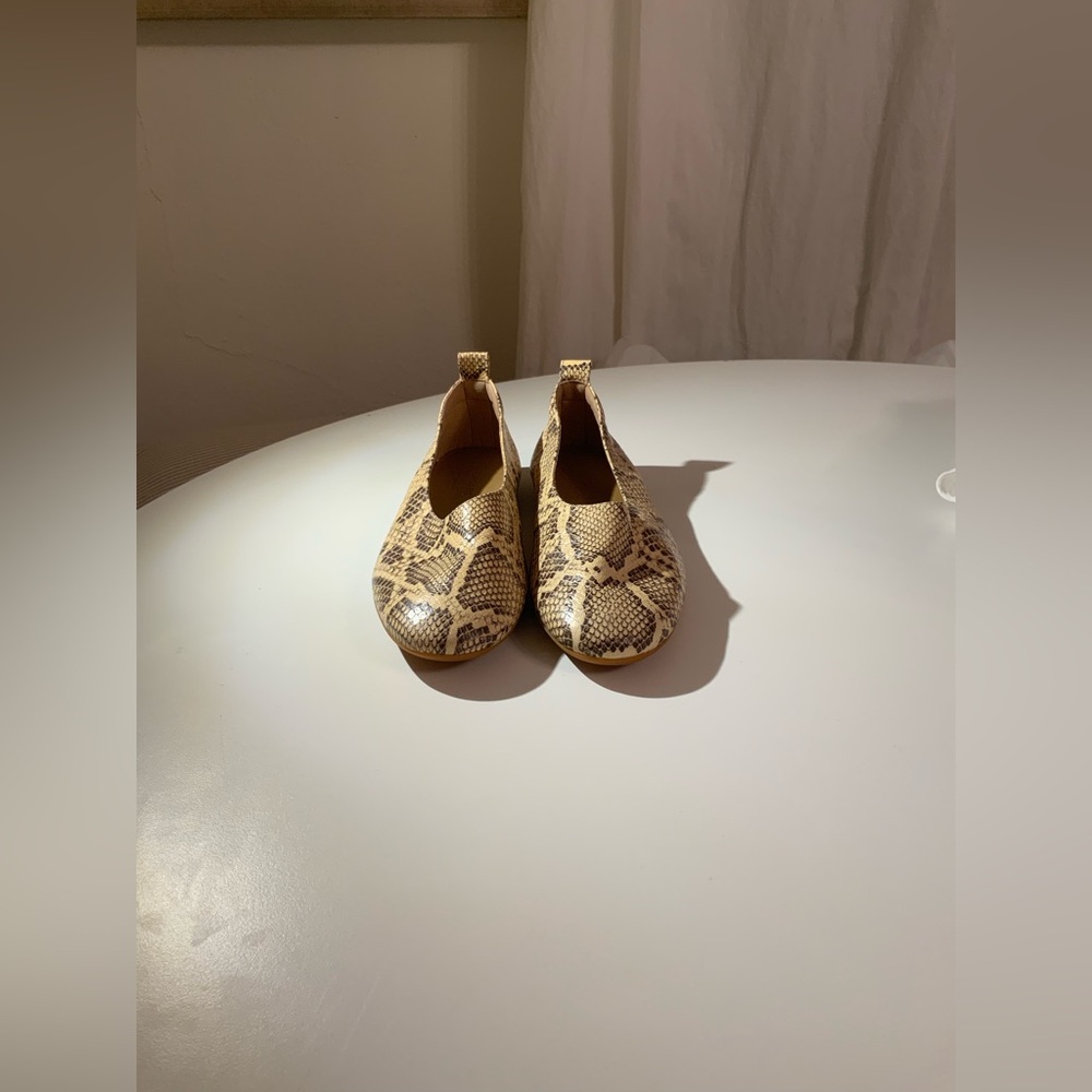 Everlane faux snake skin shoes